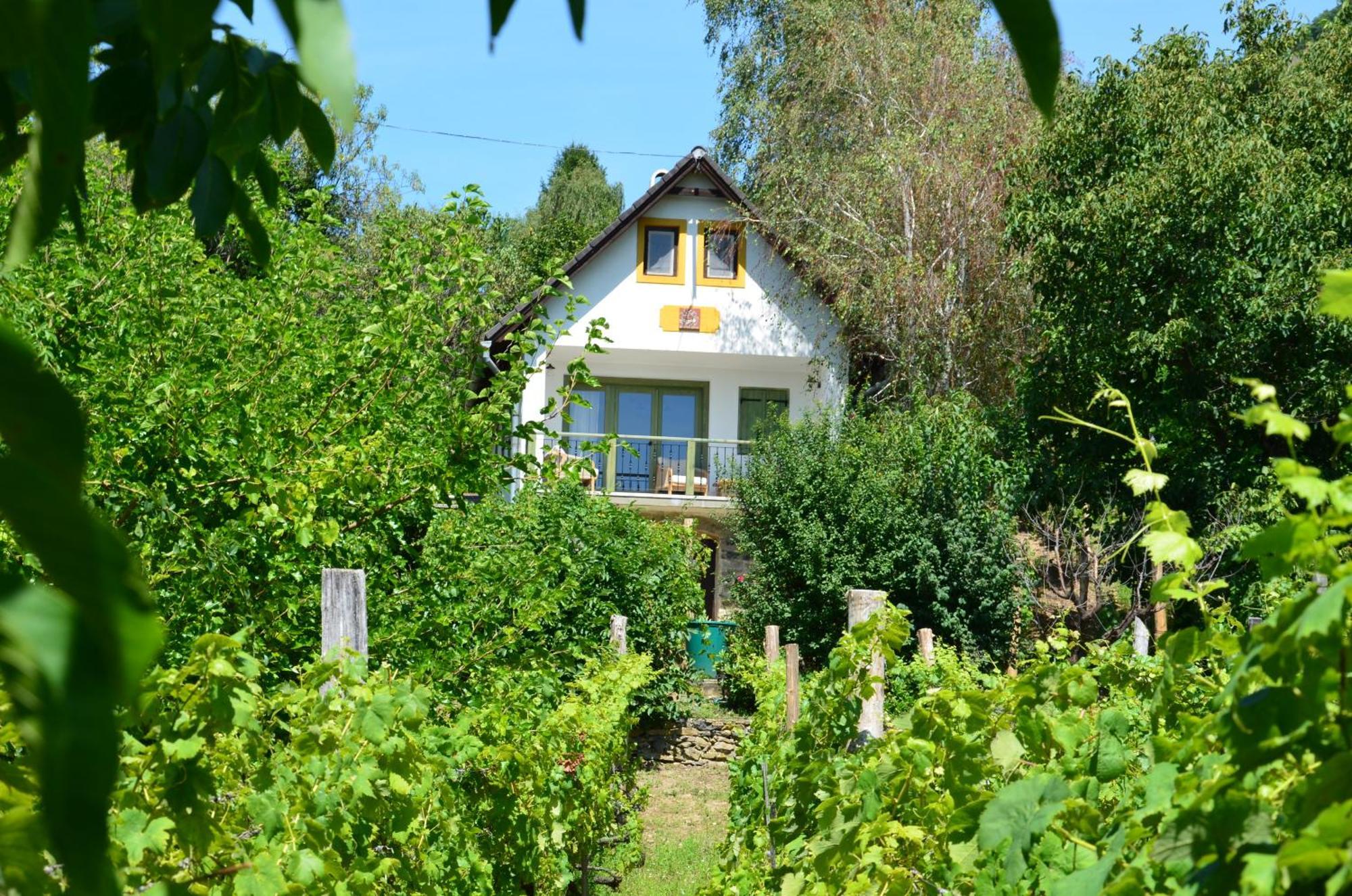 Grand Cru 3. Vendégház Hegymagas Exterior foto